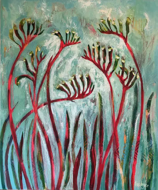 Kangaroo Paws