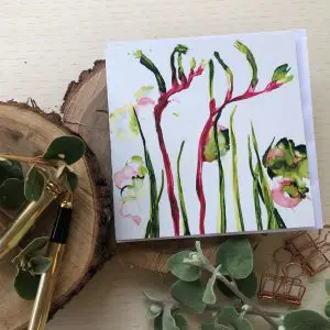 Kangaroo Paws