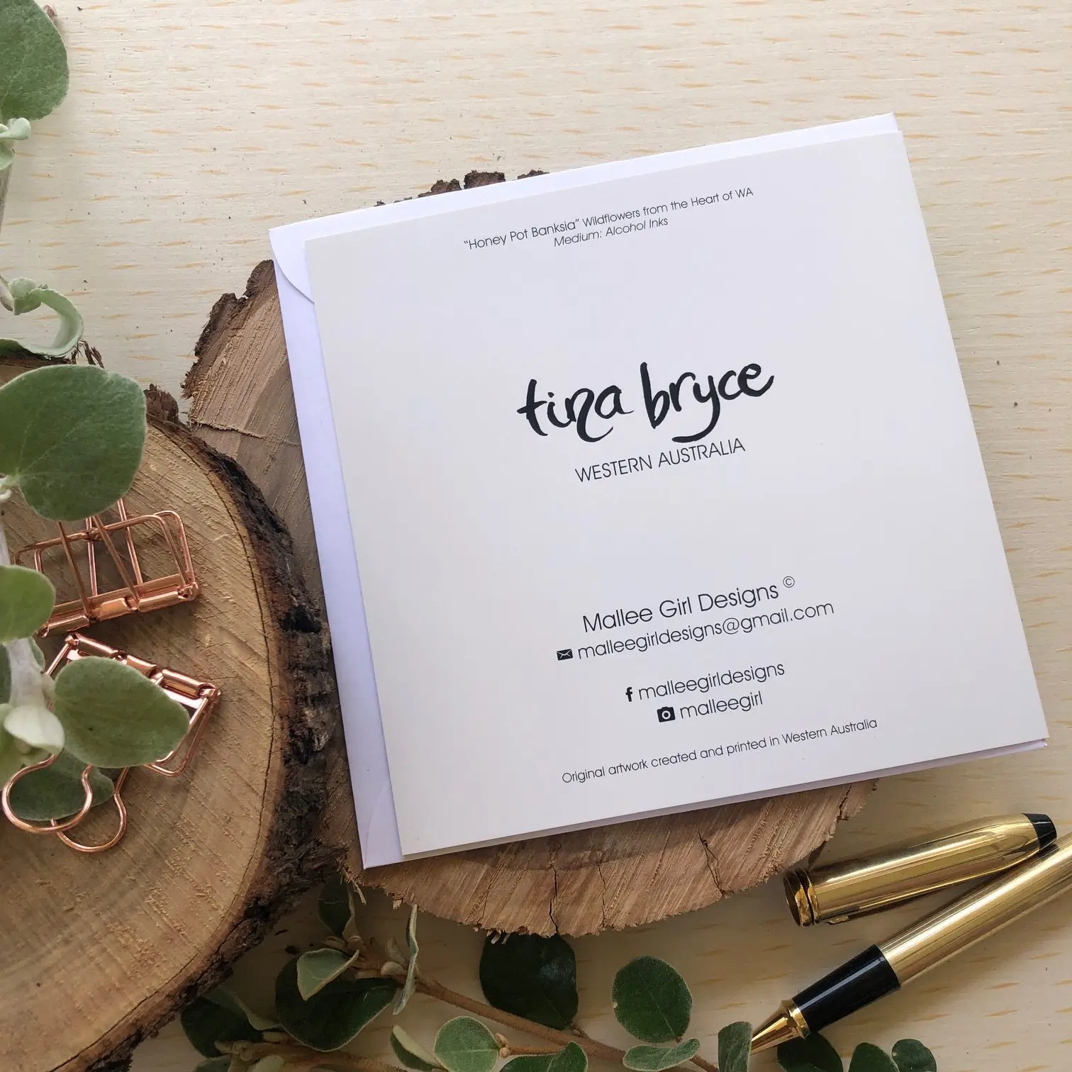 Dotty Kangaroo Paws - Image 2