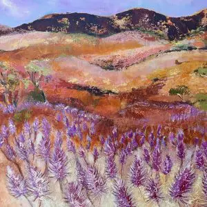 Mulla Mulla Twilight