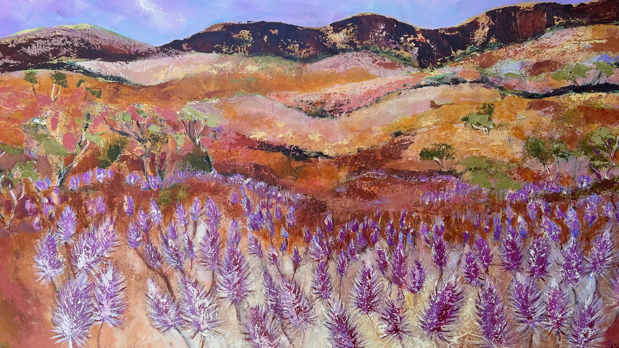 Mulla Mulla Twilight