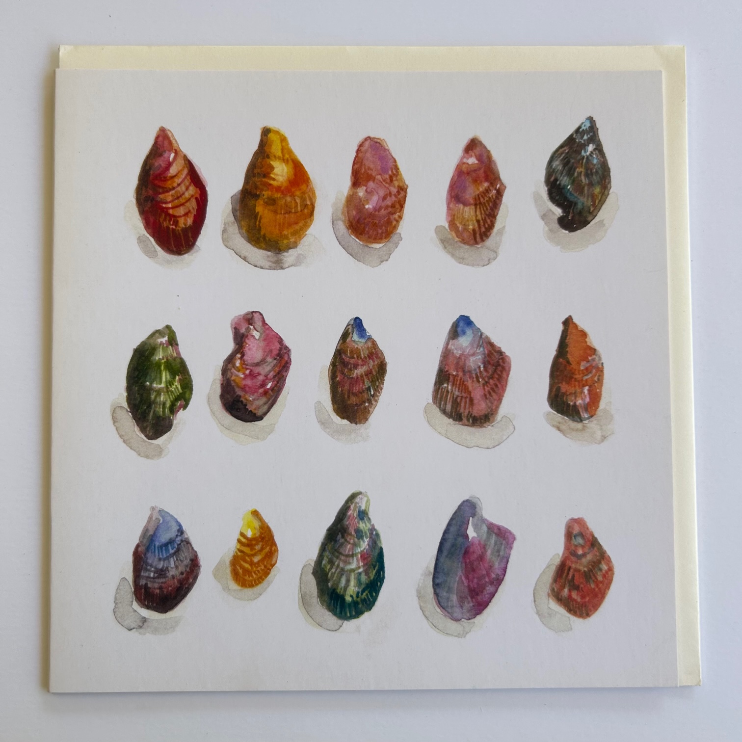 Watercolour Series - Nature's Treasures 1