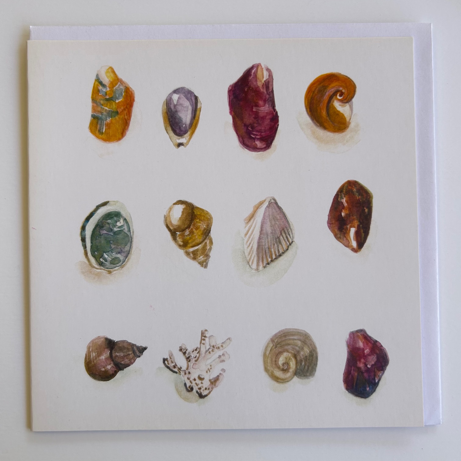 Watercolour Series - Nature's Treasures 2