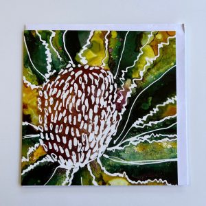 Banksia